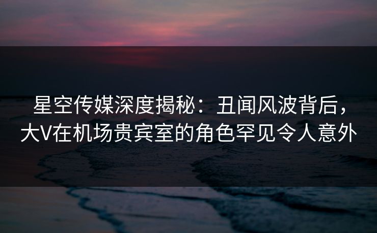 星空传媒深度揭秘：丑闻风波背后，大V在机场贵宾室的角色罕见令人意外